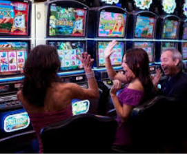 壹号电子娱乐app电脑免费版